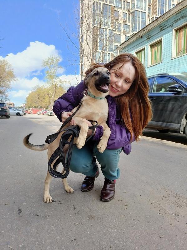 Милые щенки в добрые руки купить на Зозу.ру - фотография № 4
