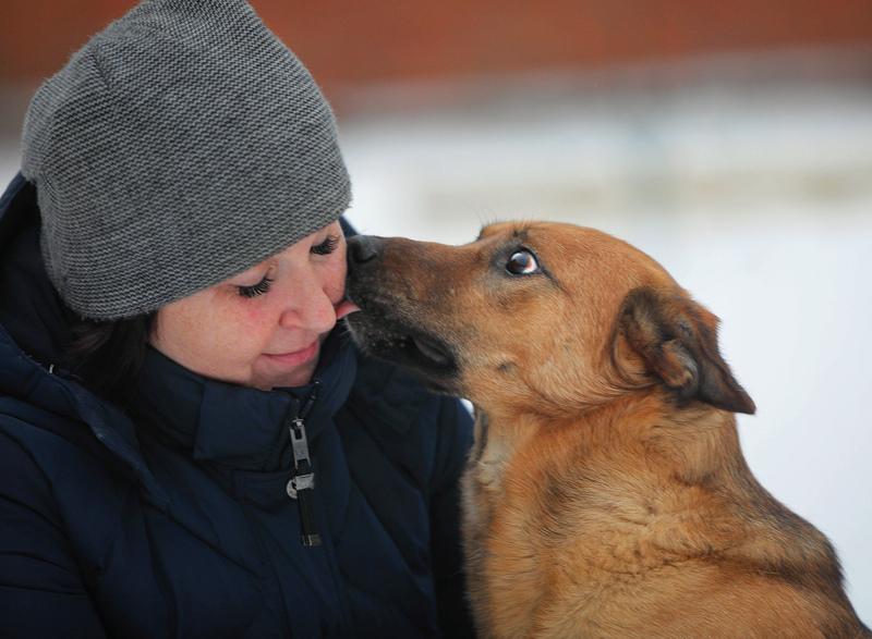 Молодой слепой пёсик Гомер — в приюте ему не жизнь купить на Зозу.ру - фотография № 2