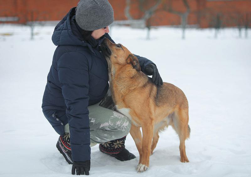 Молодой слепой пёсик Гомер — в приюте ему не жизнь купить на Зозу.ру - фотография № 6