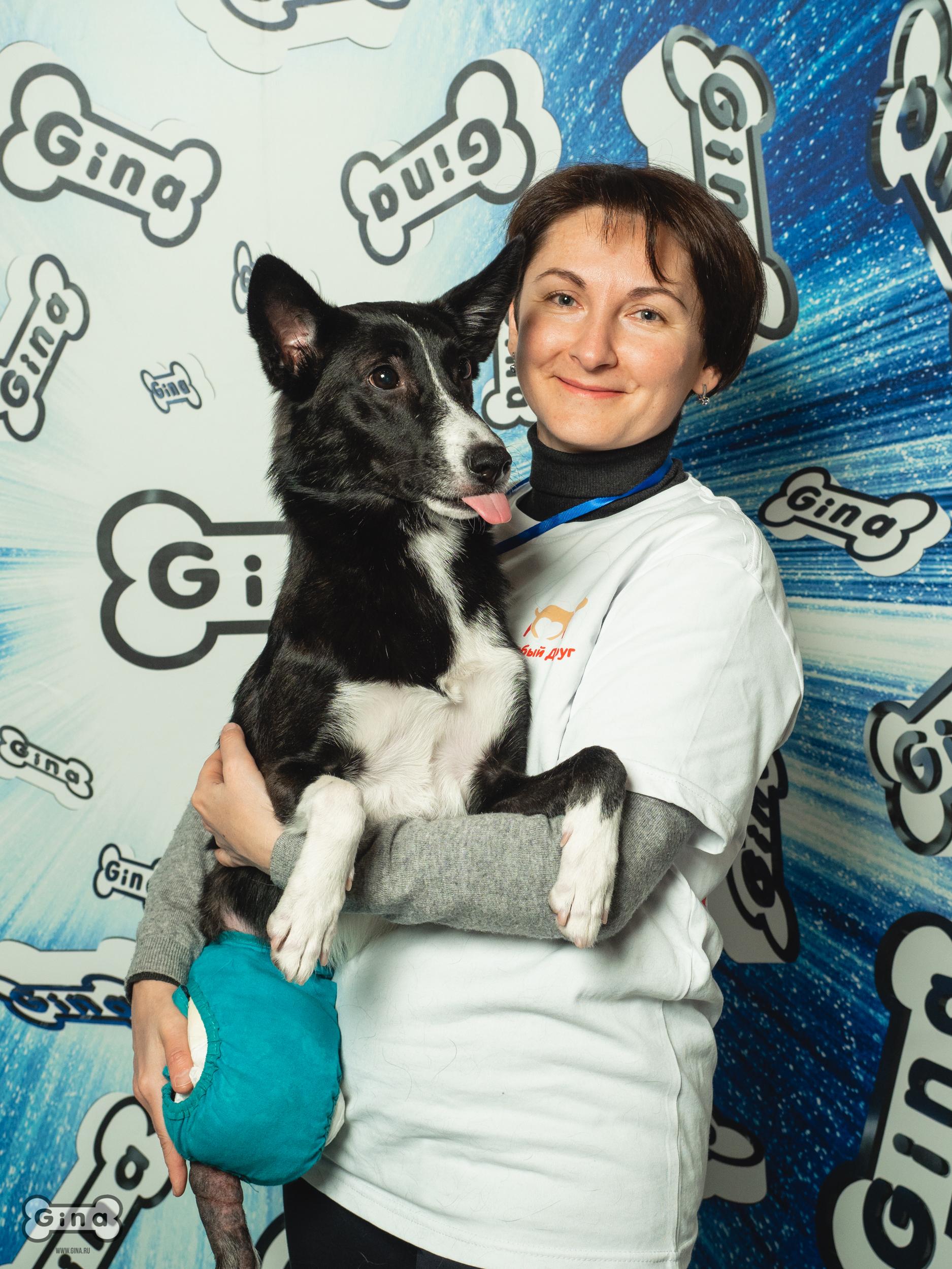 Жизнерадостная собака-инвалид Сати в дар купить на Зозу.ру - фотография № 5