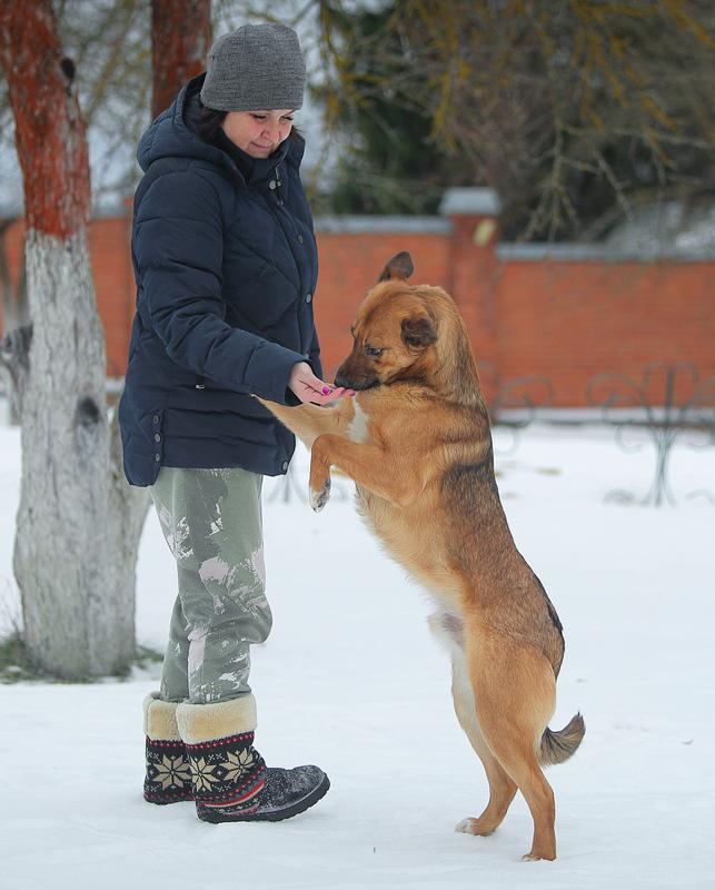 Молодой слепой пёсик Гомер — в приюте ему не жизнь купить на Зозу.ру - фотография № 3