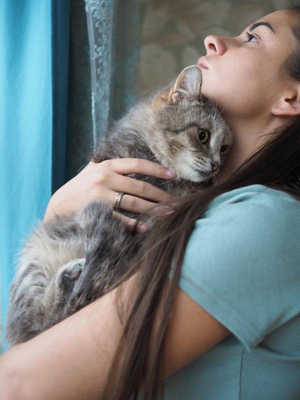 Идеальная кошка-компаньон Лиза в добрые руки купить на Зозу.ру - фотография № 11