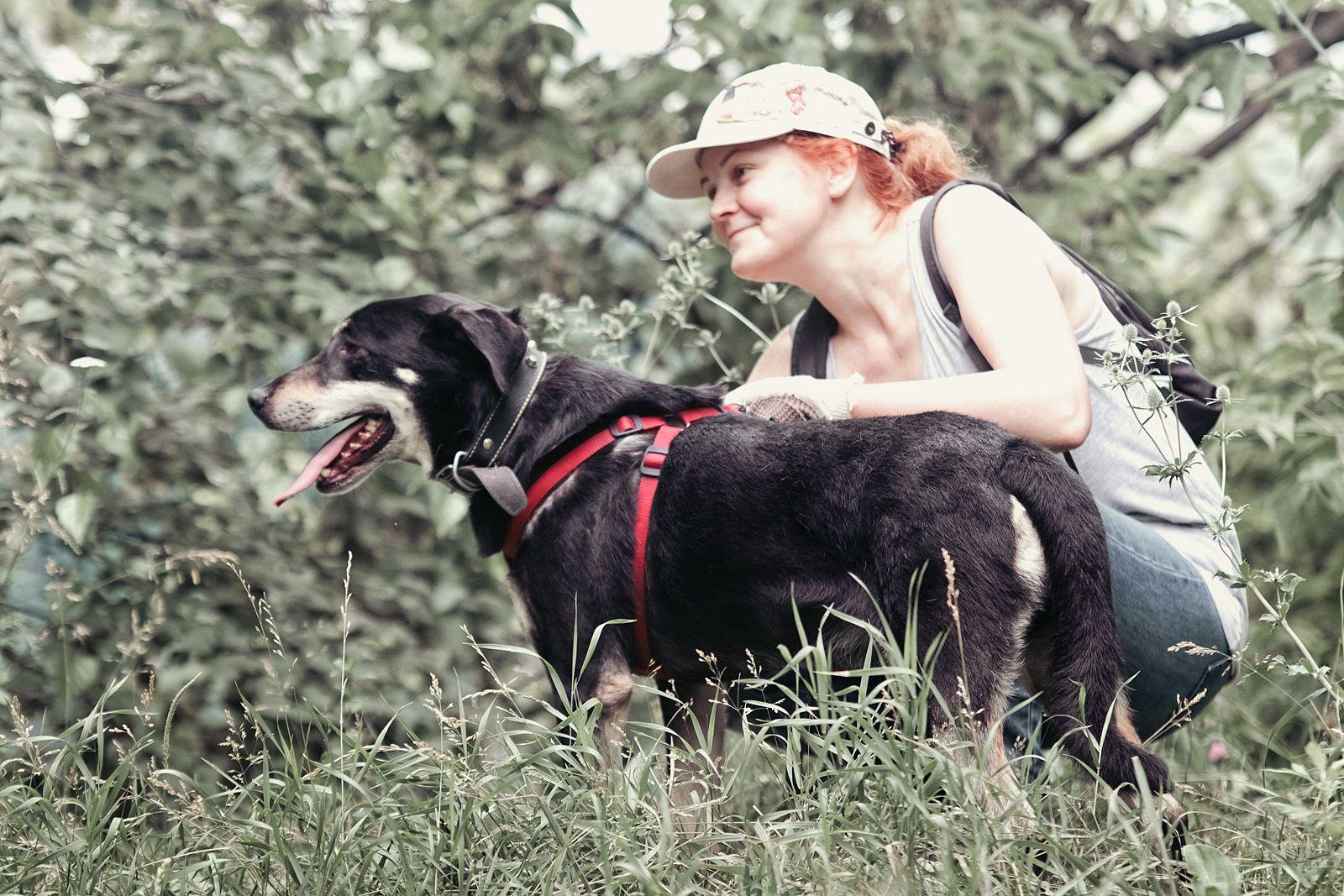Собака джентельмен из приюта в добрые руки купить на Зозу.ру - фотография № 5